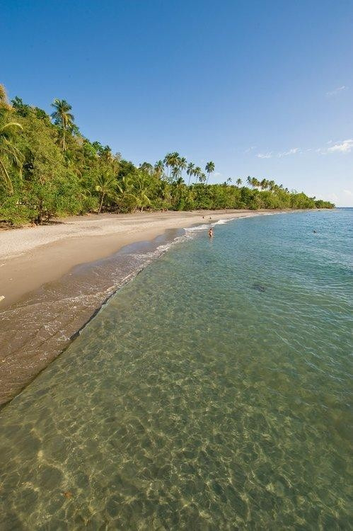 Six Reasons To Visit Martinique This Winter - Chatelaine